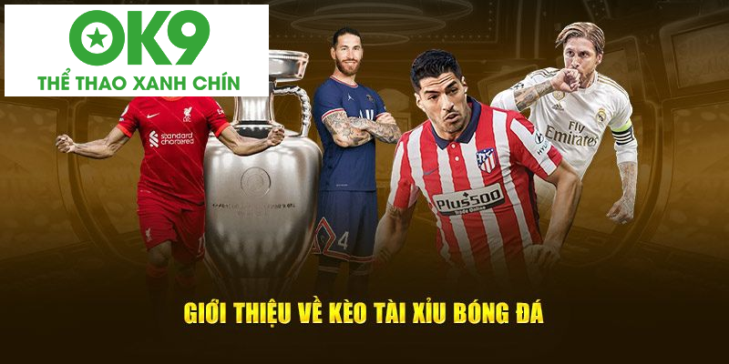 Đôi nét cơ bản giới thiệu về kèo tài xỉu bóng đá Đôi nét cơ bản giới thiệu về kèo tài xỉu bóng đá